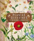atlas ilustrado de plantas silvestres e infusiones curativas-eliska tomanova-9788467722864 atlas ilustrado de plantas silvestres e infusiones curativas-eliska tomanova-9788467722864