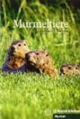 murmeltiere.libro-9788481410464 murmeltiere.libro-9788481410464