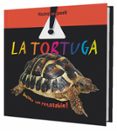 la tortuga-elisenda queralt-9788498253764 la tortuga-elisenda queralt-9788498253764