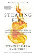 Stealing Fire-13984677-otro-formato