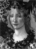 botticelli-lionello venturi-9780714869674 botticelli-lionello venturi-9780714869674