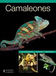 camaleones-dominik kieselbach-9788425517174 camaleones-dominik kieselbach-9788425517174