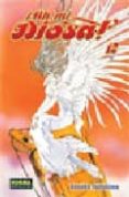 ¡ah mi diosa¡ nª 12-kosuke fujishima-9788498144574 ¡ah mi diosa¡ nª 12-kosuke fujishima-9788498144574