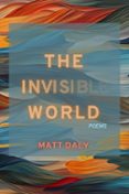 THE INVISIBLE WORLD  (edición en inglés)