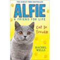 alfie cat in trouble-rachel wells-9780008172084 alfie cat in trouble-rachel wells-9780008172084