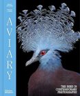 AVIARY-17514830-otro-formato