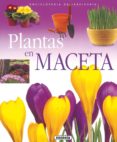 plantas en maceta-9788430567584 plantas en maceta-9788430567584