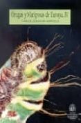orugas y mariposas de europa (t. 4)-carlos gomez de aizpurua-9788480144384 orugas y mariposas de europa (t. 4)-carlos gomez de aizpurua-9788480144384