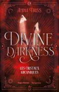 DIVINE DARKNESS - TOME 3  (edición en francés)