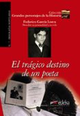 el tragico destino de un poeta: federico garcia lorca - descubre su personalidad y su vida-consuelo jimenez de cisneros-9788477116394 el tragico destino de un poeta: federico garcia lorca - descubre su personalidad y su vida-consuelo jimenez de cisneros-9788477116394