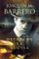 detrás de la lluvia (colección corazón rodríguez)-joaquin m. barrero-9788490704714 detrás de la lluvia (colección corazón rodríguez) joaquin m. barrero 9788490704714