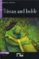 tristan and isolde-step one a2-9788853006424 tristan and isolde step one a2 9788853006424
