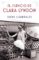 el silencio de clara lyndon-elene lizarralde-9788466665384 el silencio de clara lyndon elene lizarralde 9788466665384