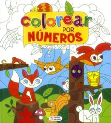 Portada de COLOREAR POR NUMEROS