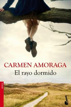 Descargar libros electrónicos gratuitos en formato mobi EL RAYO DORMIDO (Spanish Edition) 9788423346714 de CARMEN AMORAGA CHM