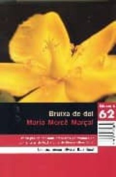 Portada de BRUIXA DE DOL