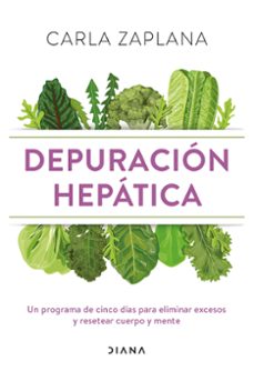 Portada de DEPURACION HEPATICA