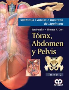 Descargas de libros electrónicos para teléfonos móviles ANATOMIA CONCISA E ILUSTRADA DE LIPPINCOTT, VOL. 2: TORAX, ABDOMEN Y PELVIS DJVU in Spanish de 