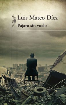 Leer libros electrónicos gratis PAJARO SIN VUELO (Literatura española)