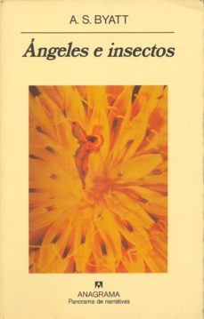Portada de ANGELES E INSECTOS