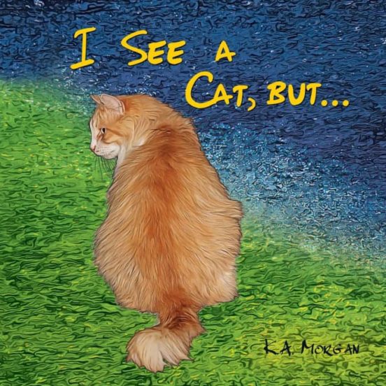 I See A Cat