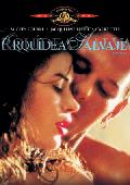 orquidea salvaje-8420266994271 orquidea salvaje-8420266994271
