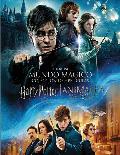 pack harry potter (1-8) + animales fantásticos - dvd --8420266011848 pack harry potter (1-8) + animales fantásticos - dvd --8420266011848
